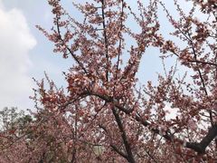 -白塘生态植物园