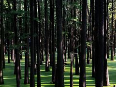 -青山湖景区