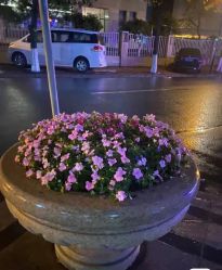 -Oasis Beauty水磨坊科技美肤中心