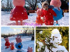 -北京亚布洛尼朝阳公园滑雪场