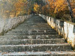 -玉泉威虎山森林公园