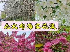 -元大都城垣遗址公园