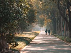 -昆山城市生态森林公园