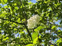 -杭州城北体育公园