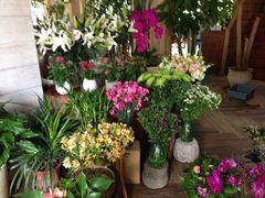iphone_upload_pic-春暖花开(西溪店)