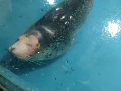 -嘉兴海底世界