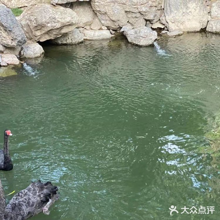 红砖美术馆，超美的地方