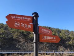 -大连森林动物园