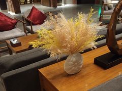 -浅深Cheersum(曹杨店)