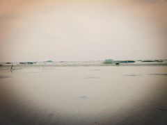 -微山湖红荷湿地景区