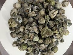 -宾朋海鲜特色美食餐厅·纯手工鲅鱼水饺(兴海路店)