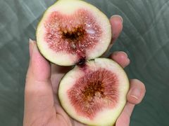 -厦门日月谷温泉渡假村