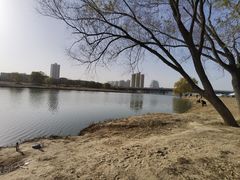 -西安浐灞国家湿地公园