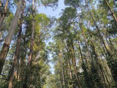 -南国桃园旅游度假区