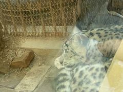 -青藏高原野生动物园