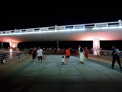 -演武大桥观景平台