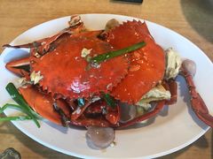 -ZF Seafood Restaurant 卓峰海鲜餐