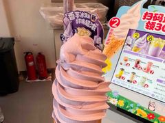 -蜜雪冰城(大智路店)