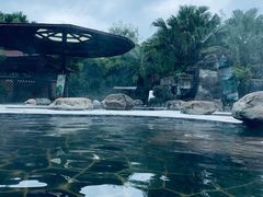 -雅安楠水阁温泉酒店