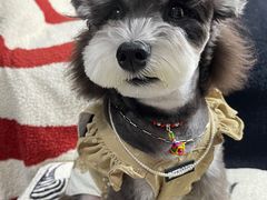 -FAELING PETS美天灵宠物(合生汇店)