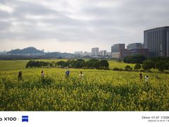 -光明小镇欢乐田园