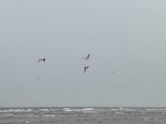 -金梦海湾浴场