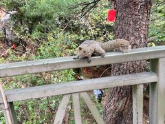 -苍山感通索道