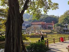 -广州雕塑公园