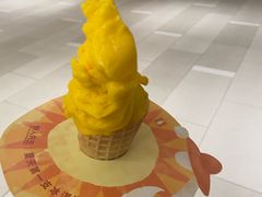 -野人先生现做冰淇淋(北京环宇荟店)