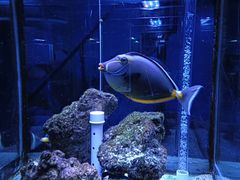 -荆州中山公园动物园