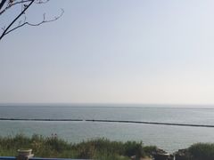 -合肥滨湖国家森林公园