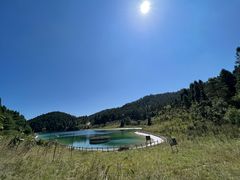 -武陵山森林公园