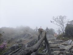 -梧桐山风景名胜区