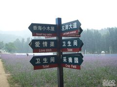 -紫海香堤香草艺术庄园