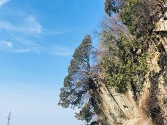 -少华山国家森林公园