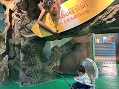 -杭州开元森泊度假乐园