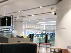 -麦当劳(北京大兴机场二层国内到达(安检外)店)