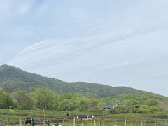 -中国茶叶博物馆(双峰馆区)