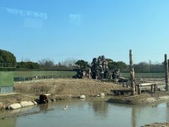 -上海野生动物园