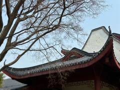-武汉大学-樱园