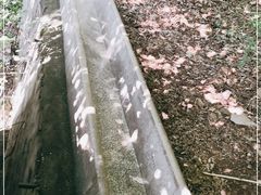 -辋川溶洞