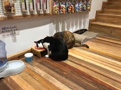 -猫的天空之城概念书店(杭州南宋御街店)