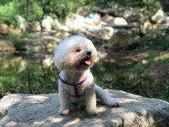 -北京西山国家森林公园