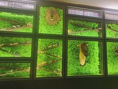 -彩虹之约•淮扬家宴(亚运村店)