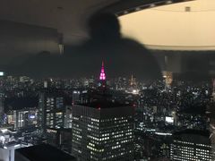 -东京都厅舍