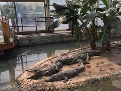 -石家庄市动物园