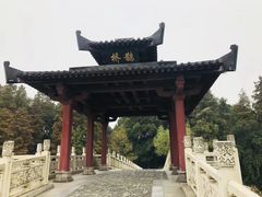 -东湖落雁景区