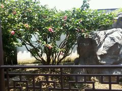 android_upload_pic-桃园盛宴·岭南粤菜·手工茶点(南庄店)