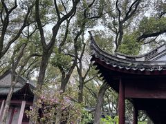 -天一阁博物院