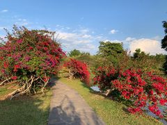 -中国科学院西双版纳热带植物园